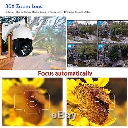 HD 1080p PTZ Outdoor Speed Dome IP Pan 30X Zoom IR Security Camera Build in POE