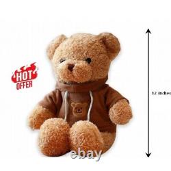 Hidden Nanny Spy Teddy Bear Camera 1080P WiFi, Motion Detection Home Security