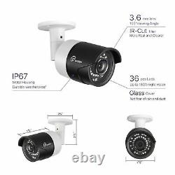 Loocam 1080P 8CH HD Home Security Camera System Video Camera DVR H. 265+ CCTV 2TB